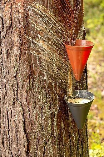 Indian Frankincense 100% Pure Natural Gum Organic Aromatic Tear Rock Incense Tree Sap Olibanum Bulk Boswellia Serrata (4 Ounce)
