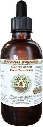 Hawaii Pharm Bladderwrack Alcohol-Free Liquid Extract, Bladderwrack (Fucus Vesiculosus) Glycerite Natural Herbal Supplement 2 oz