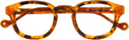 DIDINSKY READING GLASSES Blue Light Blocking Unisex Readers. Acetate Frames, Flexible Temples and Anti-reflective Lenses - Havana +2.5 - DINATIONAL