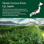VAHDAM, Vanilla Matcha Green Tea Powder - 1.76oz | Pure Madagascar Vanilla + Premium Authentic Japanese Matcha | Hot or Iced - Vegan & Gluten-Free