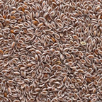 Frontier Co-op Organic Whole Psyllium Seed 1lb