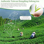 XIXICHA Dongding Oolong Tea Loose Leaf Taiwan Tea High Mountain Oolong Taiwan Dong Ding Gaoshan Ulong Tea Taiwanese Green Oolong One Thousand Meters High Mountain 150g/5.3oz （120 cups）凍頂乌龙茶 冻顶乌龙 乌龙茶 台湾茶