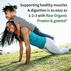 Garden of Life Raw Protein & Greens Vanilla Protein Powder – 20g Plant Based Greens Powder, Probiotics & Enzymes, Post-Workout Recovery, Vegan, Gluten-Free, Non-GMO, 20 Servings