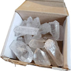 AMOYSTONE 1Lb Bulk Clear Quartz Crystal Points in Box Raw White Quartz Crystals Rough Stones Natural Clear Quartz Cluster for Home Decor