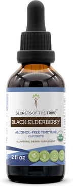 Black Elderberry USDA Organic Tincture | Alcohol-FREE Extract, High-Potency Herbal Drops, Immune System Health | Made from 100% Certified Organic Black Elderberry (Sambucus Nigra) 2 oz