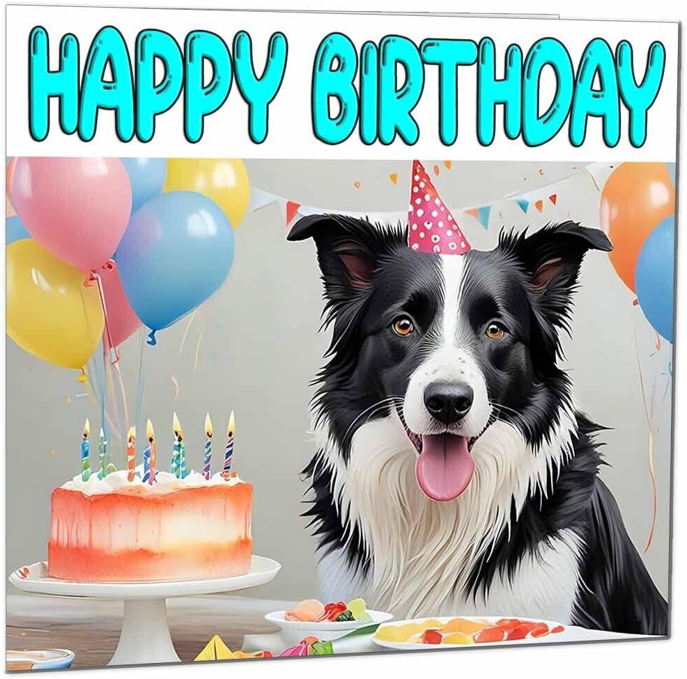 Border Collie Birthday Card - Fun Dog Birthday Card - 145 x 145mm