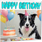 Border Collie Birthday Card - Fun Dog Birthday Card - 145 x 145mm