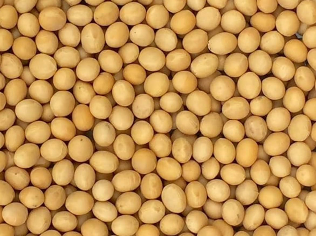Premium Non-GMO Soybeans - 3 Lbs - Perfect for Soy Milk, Tofu, Natto - 100% Product of USA