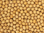 Premium Non-GMO Soybeans - 3 Lbs - Perfect for Soy Milk, Tofu, Natto - 100% Product of USA
