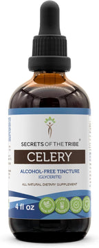 Secrets of the Tribe Celery Tincture Alcohol-Free Liquid Extract, Celery (Apium graveolens) Dried Fruit and Seed (4 FL OZ)