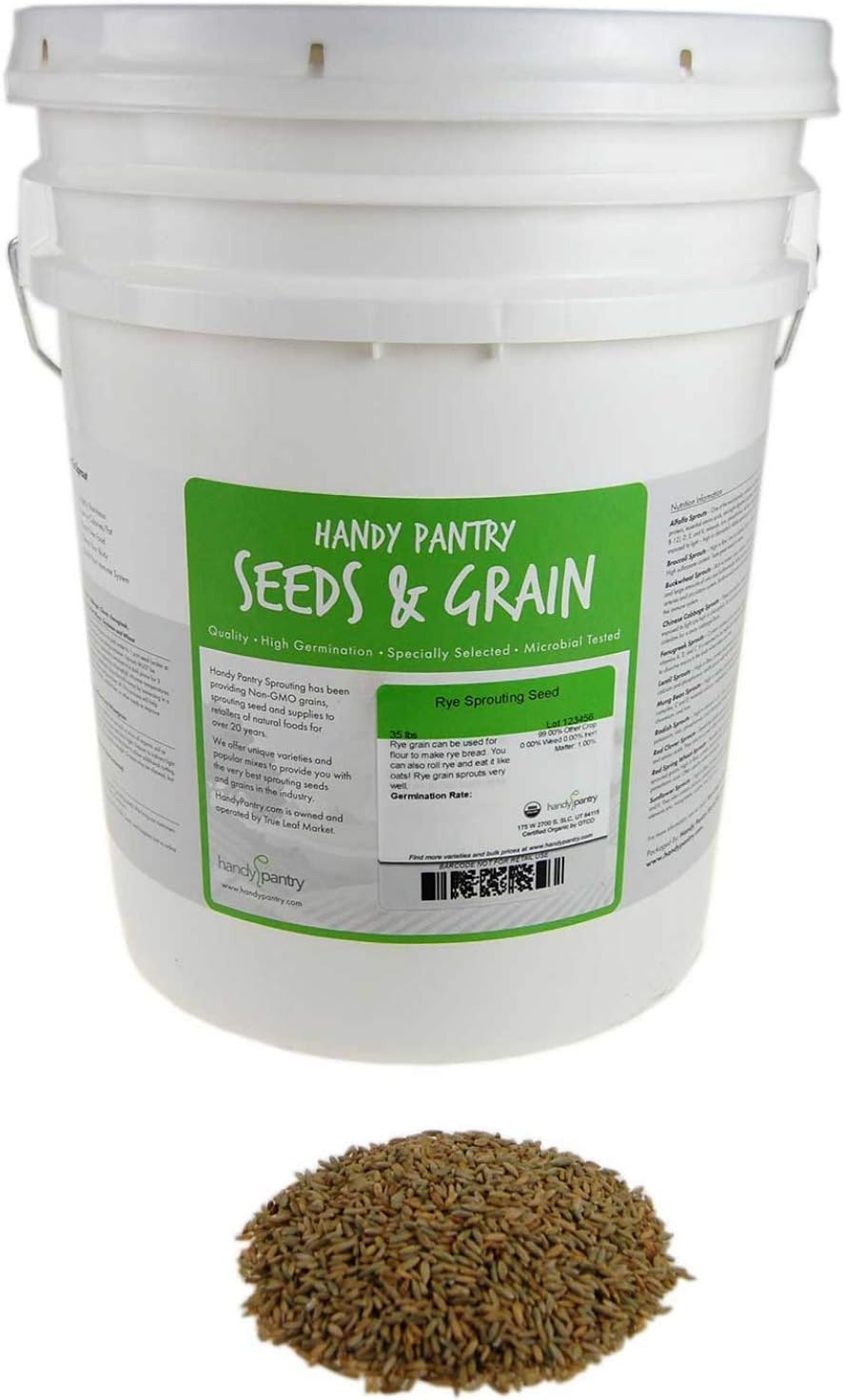 35 Lb Bulk Organic Rye Grain Seeds - Rye Seed for Sprouting Rye Berries, Rye Seeds for Organic Rye Flour, Rye Meal, Rye Pasta, Marble Rye Bread, Rye Grain Berries, Cracked Rye Berries, and Rye Grass