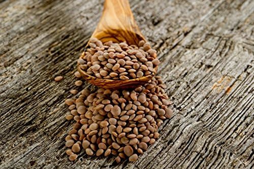 Brown Lentils, Small, 5 Pounds USDA Certified Organic, Non-GMO, Bulk, Product of USA, Mulberry Lane Farms