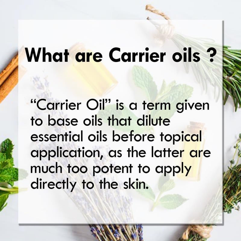 Pure Wormwood Essential Oil (Artemisia Absinthium) Steam Distilled 630ml (21 oz)