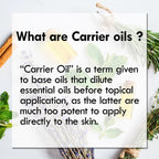 Greenwood Essential Pure Ashwagandha Oil (Withania somnifera) Premium Therapeutic Grade for Hair, Skin & Aromatherapy 50ml (1.69 oz)