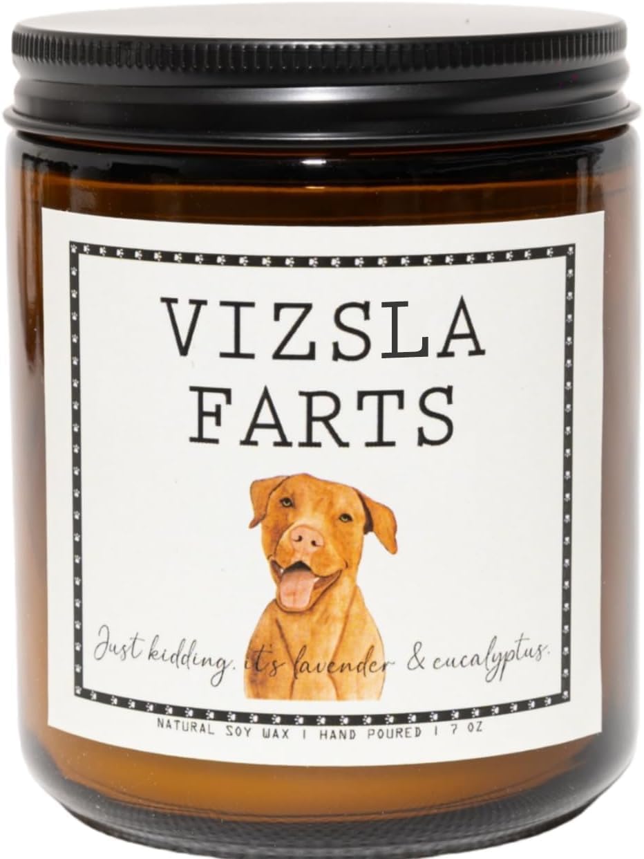 Smells Like Vizsla Farts Candle - Vizsla Gifts & Decor, Dog Mom Gifts - Lavender & Eucalyptus Soy Wax Scented Candle, 50Hr Burn