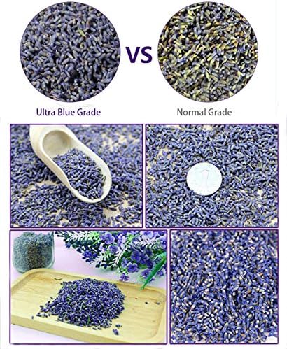 TooGet Fragrant Lavender Buds Dried Flowers Wholesale, Ultra Blue Grade - 225g