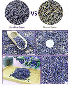 TooGet Fragrant Lavender Buds Dried Flowers Wholesale, Ultra Blue Grade - 225g