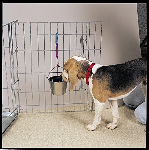 Pro Select Stainless Steel Pet Pail, 1-Quart Size – Heavy Duty Flat Sided Pail Great for Providing Water in Pet Kennels