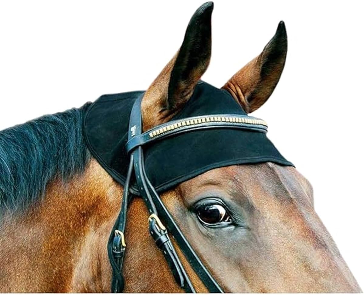 Back on Track Halter
