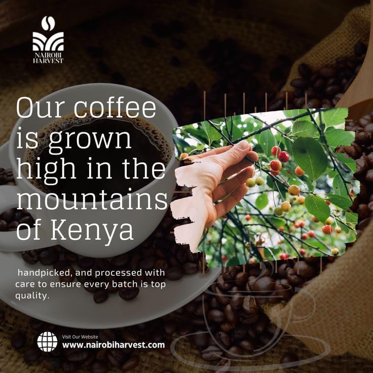 Nairobi Harvest Medium Roast Organic Ground Coffee - Medium Roast, Strong and Bold Taste, Strong Intensity - Premium Quality Roasted Coffee (12Oz Pack)