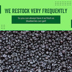Dried Blueberries 1 lb (16 oz) – Gluten-Free & Peanut-Free, Slightly Sweetened – Great for Baking & Snacking – Berries with Benefits