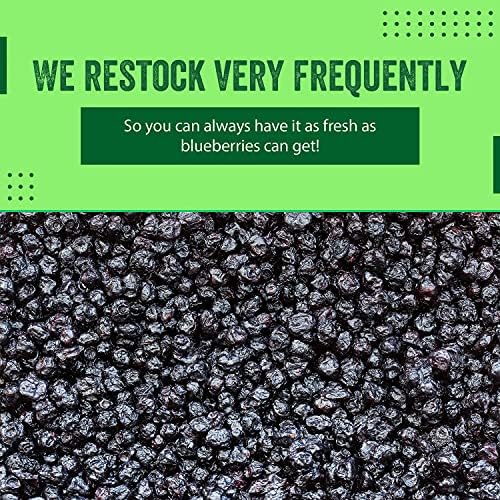 Dried Blueberries 1 lb (16 oz) – Gluten-Free & Peanut-Free, Slightly Sweetened – Great for Baking & Snacking – Berries with Benefits