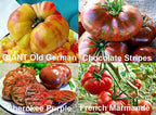 This is A Mix 30 Deluxe Tomato Seeds, Mix of 16 Varieties, Heirloom Non GMO, Indeterminate, Old German, Chocolate Stripes, Ukrainian Purple, Amish Paste, from USA Solanum lycopersicum