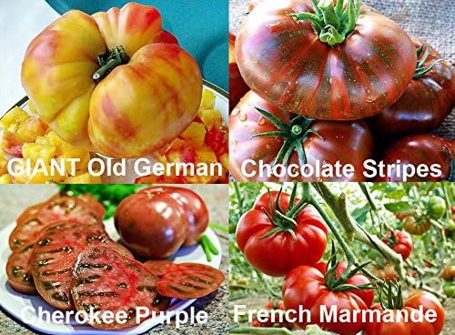 This is A Mix 30 Deluxe Tomato Seeds, Mix of 16 Varieties, Heirloom Non GMO, Indeterminate, Old German, Chocolate Stripes, Ukrainian Purple, Amish Paste, from USA Solanum lycopersicum