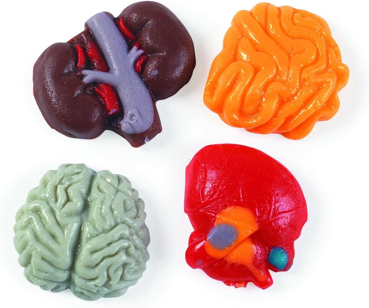Fun Express Halloween Organ Harvest Gummy Candy Bulk - 1 lb Package with Brain, Heart, Lung & Intestine Shapes | Mixed Fruit Flavors for Trick or Treat Bags, Halloween Parties & Trunk Events