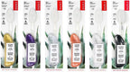 RADIUS Big Brush with Replaceable Head BPA Free & ADA Accepted Toothbrush Designed to Improve Gum Health & Reduce Gum Issues - Right Hand - Assorted - Pack of 6