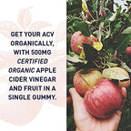 Garden of Life Organics Apple Cider Vinegar Gummies with Vitamin B12 – Organic ACV Gummy Vitamins, Vegan, Gluten-Free, Non-GMO, 60 Gummies