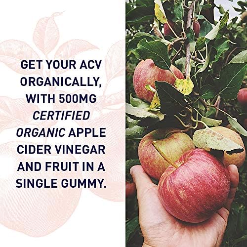 Garden of Life Organics Apple Cider Vinegar Gummies with Vitamin B12 – Organic ACV Gummy Vitamins, Vegan, Gluten-Free, Non-GMO, 60 Gummies