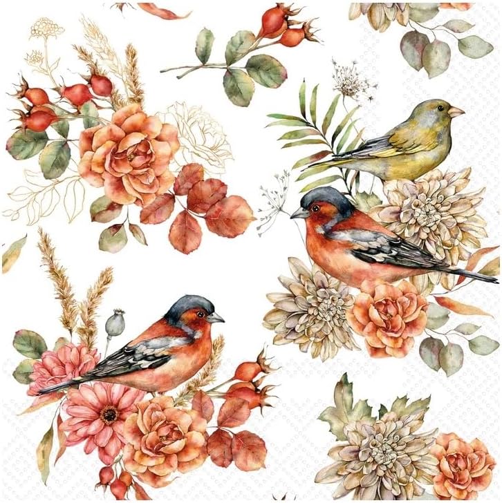 IHR Ideal Home Range Cocktail Napkins Disposable 3-Ply Paper Party Napkin Pack, 5" x 5", Bird Song, 20-Count