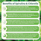 BeeBites: SuperFood for Healthy Hives - Honey Bee Fondant with Spirulina and Chlorella - Probiotics Powered by Algae - Best Food for Queen Immunity - 10 Bars (50g Each)