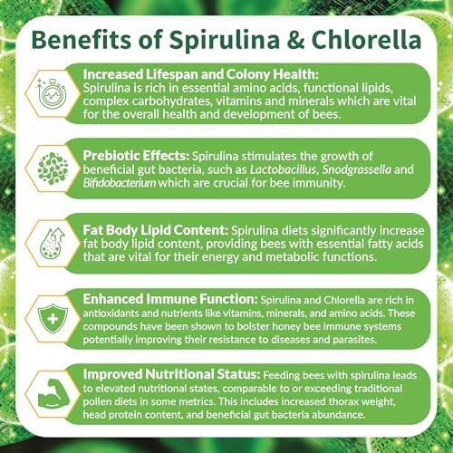 BeeBites: SuperFood for Healthy Hives - Honey Bee Fondant with Spirulina and Chlorella - Probiotics Powered by Algae - Best Food for Queen Immunity - 10 Bars (50g Each)