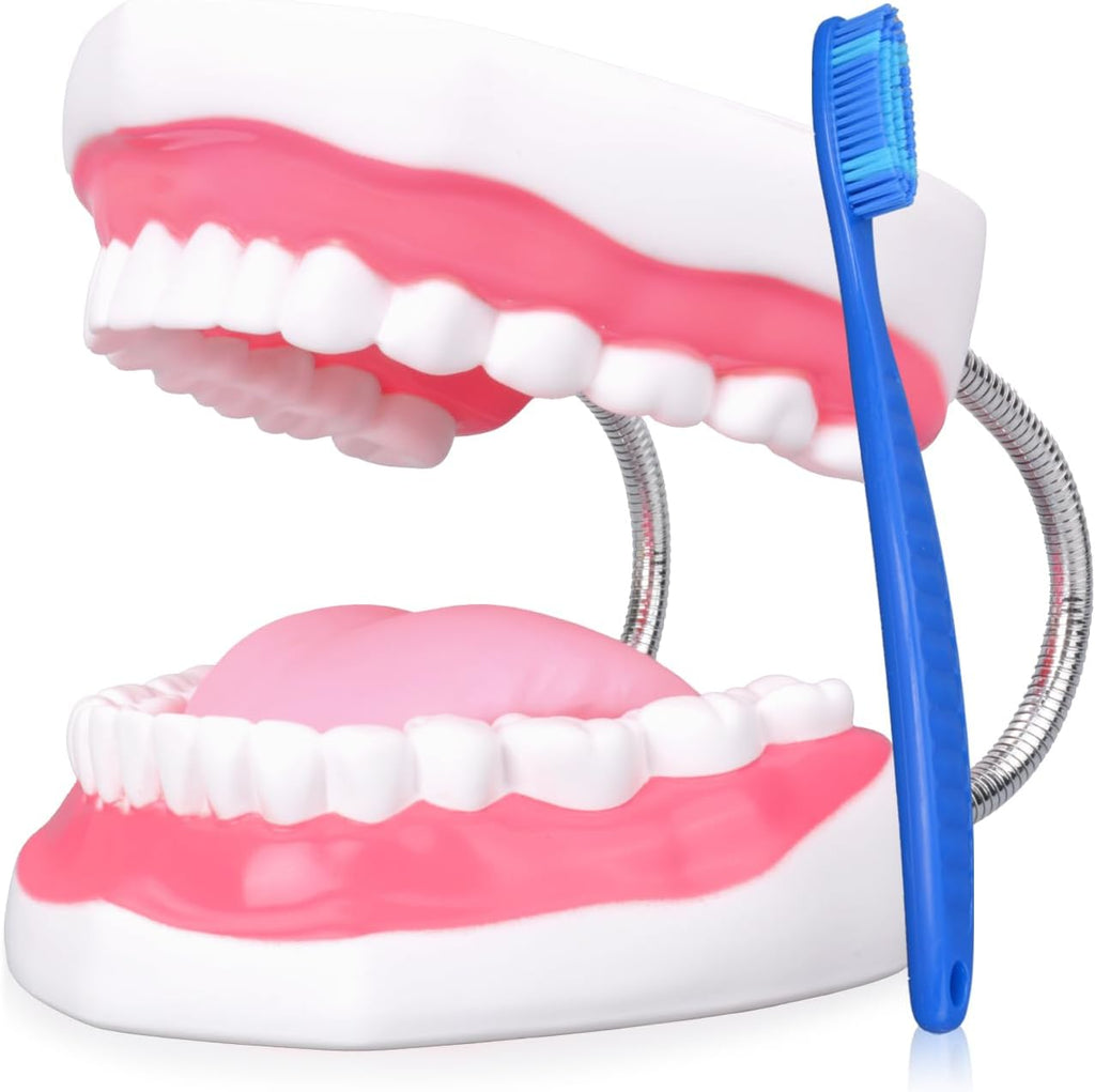Ultrassist Ultrassist Mouth Model Metal Hinge for Speech Therapy, Ideal Brushing Teaching Dental Teeth Model for Kids and Children, 6 Times Enlarge, Includes Toothbrush