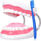 Ultrassist Ultrassist Mouth Model Metal Hinge for Speech Therapy, Ideal Brushing Teaching Dental Teeth Model for Kids and Children, 6 Times Enlarge, Includes Toothbrush