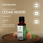 Cedar Wood Oil -(Juniperus Virginiana)- Essential Oil 100% Pure Natural Undiluted Uncut Therapeutic Grade Oil 0.16 Fl.OZ