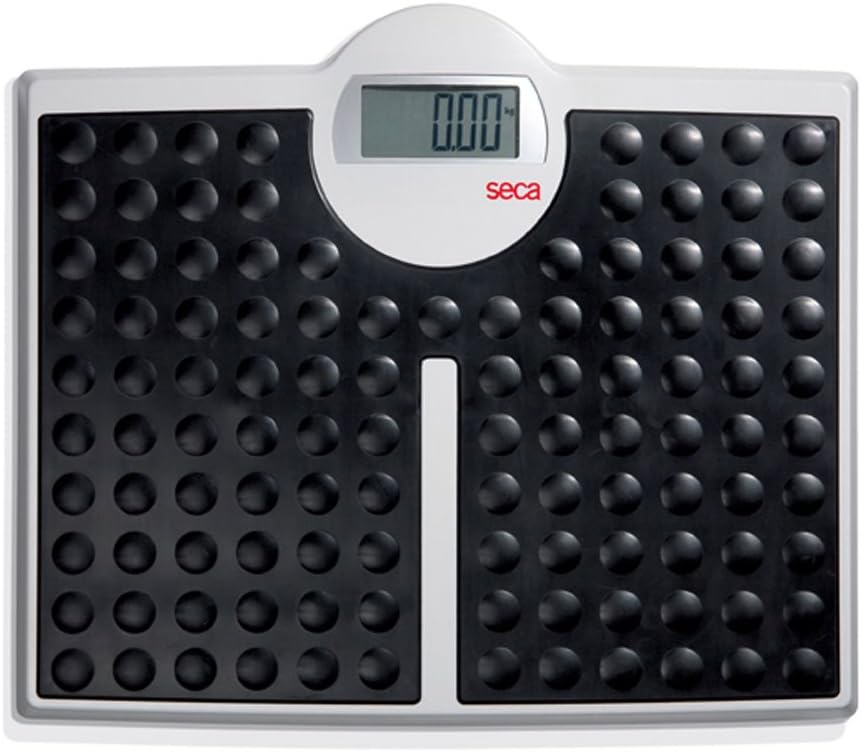 seca 813 - High Capacity Digital Flat Scale for Individual Patient use