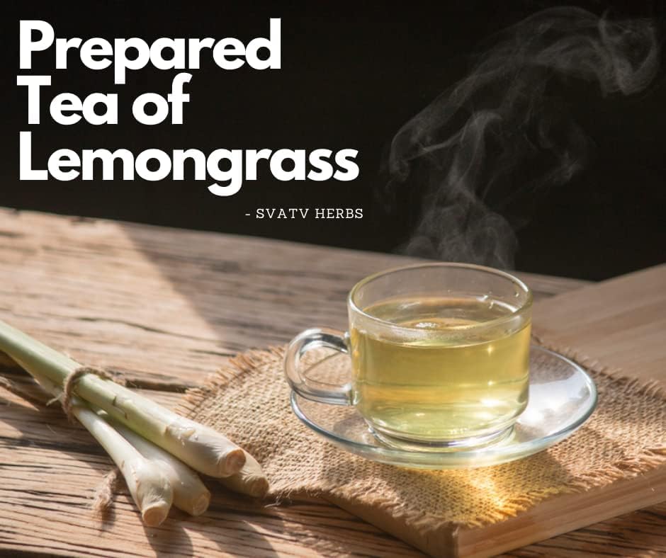 SVATV Lemongrass Powder | Cymbopogon Citratus | Natural Herbs & Spices | for Cooking, Baking & Preparing Tea | 227g, Half Pound, 8oz