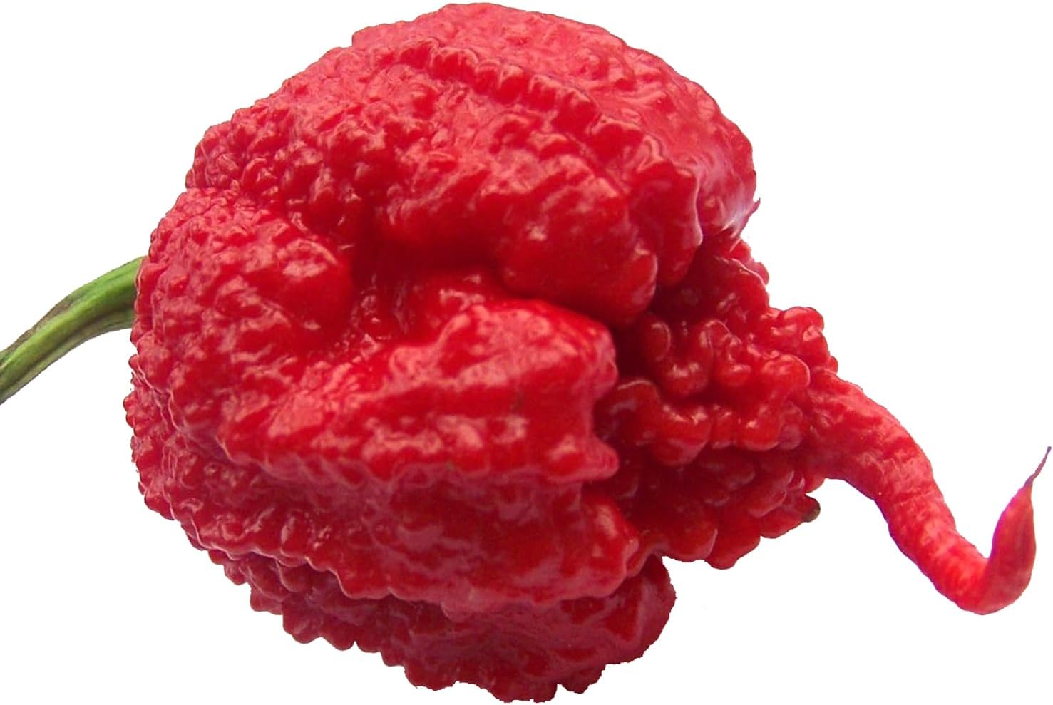 Carolina Reaper HP22B Pepper Premium Seeds for Planting Packet Record Hottest in The World
