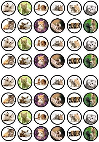 Kittens Edible Cupcake Toppers, Cat Birthday Decorations for Cakes and Cookies Edible Cake Decorations for Cat Birthday Party Fun - Kitty Toppers 48 x 3cm / 1.18 Inch