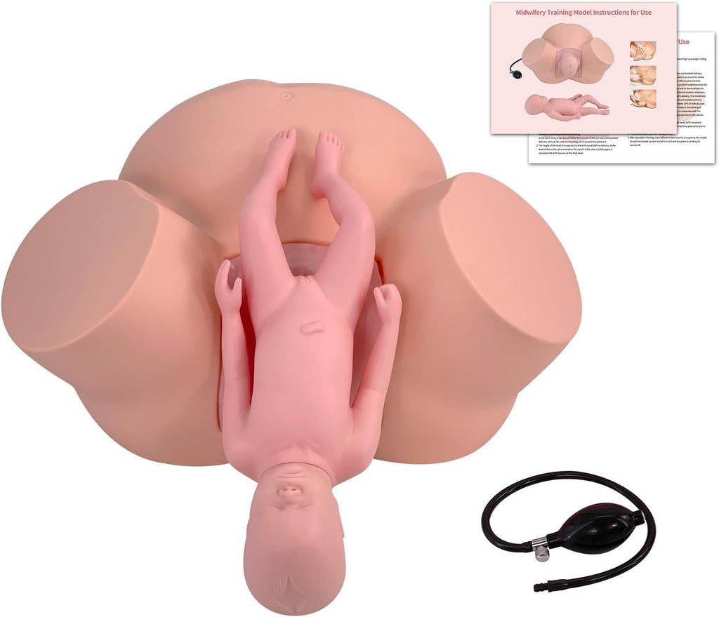 Birth Midwifery Training Model Simulator, Life Size Childbirth Demonstration Obstetrics Gynecology Normal Abnormal Fetal Positions Delivery Maternity Manikin for Teaching Medical