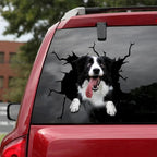 Cute Border Collie Crack 3D car Sticker, SUV Window Glass Personalized Decoration, Refrigerator Toilet (GJ0000149-899-1532183561)