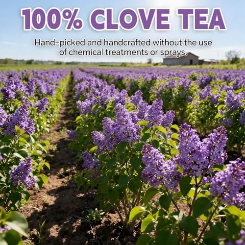 Clove Tea Bags–120 Teabags (2g/Bag), Made from 100% Natural Clove Flower Buds | Supports Digestion & Antioxidant Wellness | Caffeine-Free | Sugar-Free | Gluten-Free | Vegan | Eco-Friendly Tea Bags
