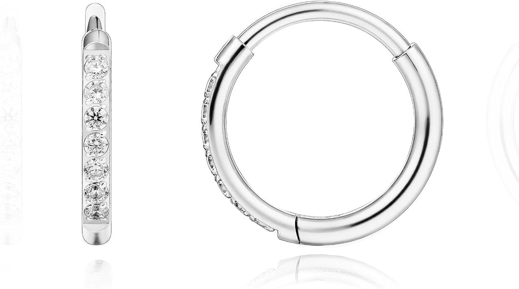 Limerencia Titanium Hoop Earrings for Women,G23 Implant Grade Pure Titanium Lightweight Hoop Earrings for Women Men Sensitive Ears