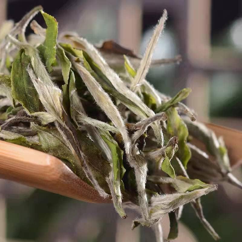 White Peony (Bai MuDan) Tea (3.52oz) Loose Leaf Chinese White Tea 福鼎白牡丹茶100g