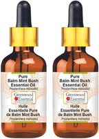 Greenwood Essential Pure Balm Mint Bush Essential Oil (Prostanthera melissifoli) with Glass Dropper Steam Distilled (Pack of Two) 100ml X 2 (6.76 oz)