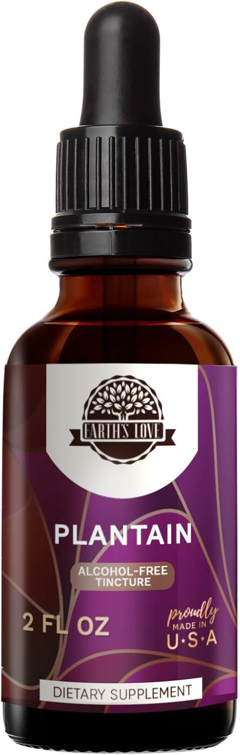 HerbEra Earth's Love - Plantain Alcohol-Free Herbal Extract Tincture, Super-Concentrated Plantain (Plantago Major) Dried Leaf (2 Fl Oz)