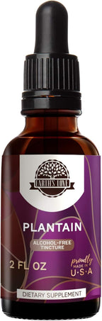 HerbEra Earth's Love - Plantain Alcohol-Free Herbal Extract Tincture, Super-Concentrated Plantain (Plantago Major) Dried Leaf (2 Fl Oz)